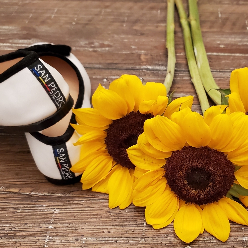 San Pedro Ballet Flats